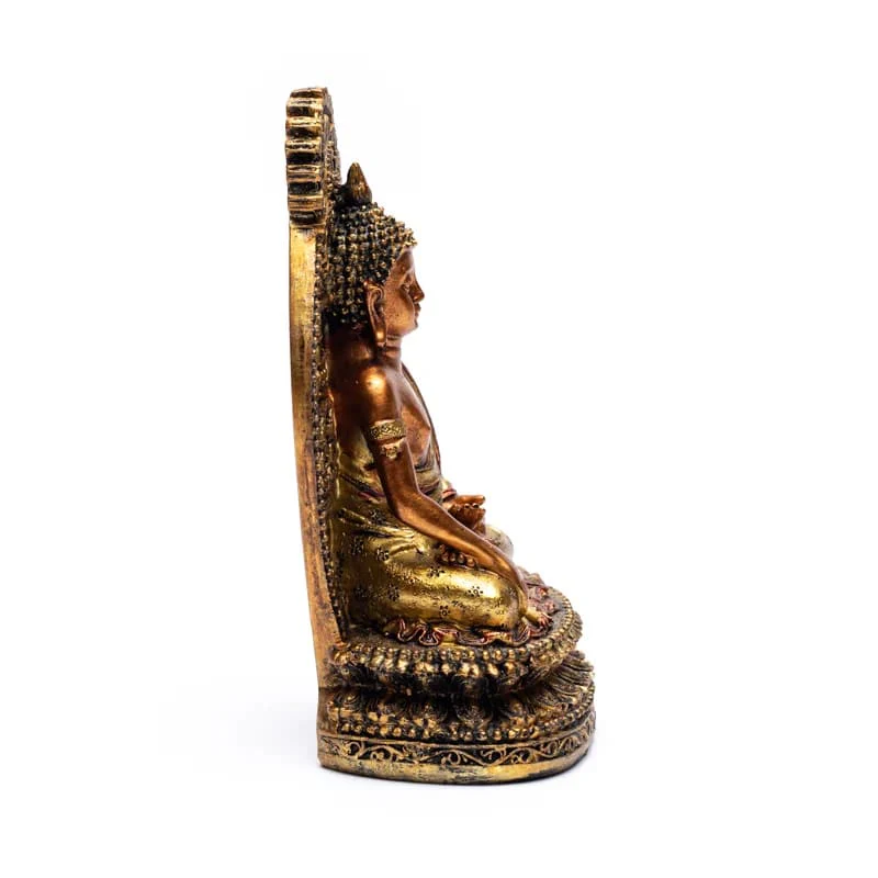 Miniatuur 1