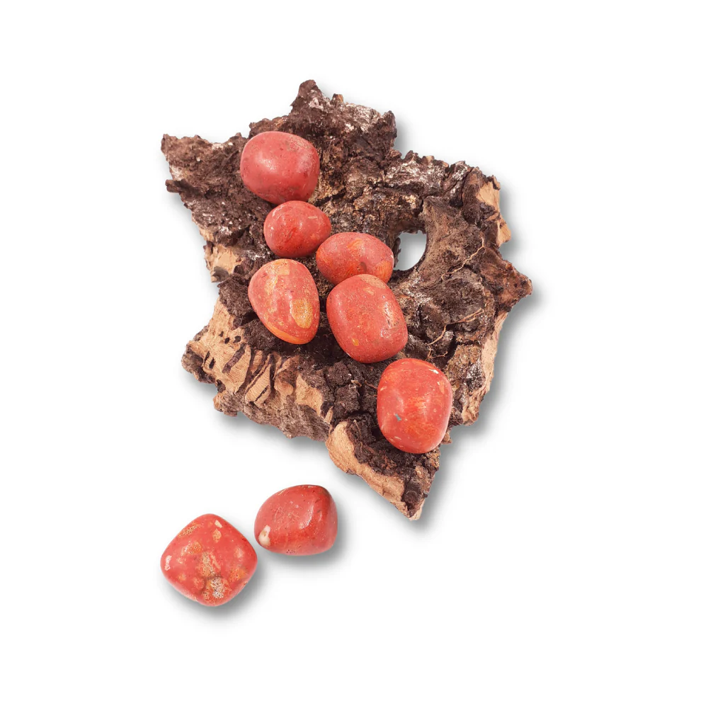 Miniatuur 2